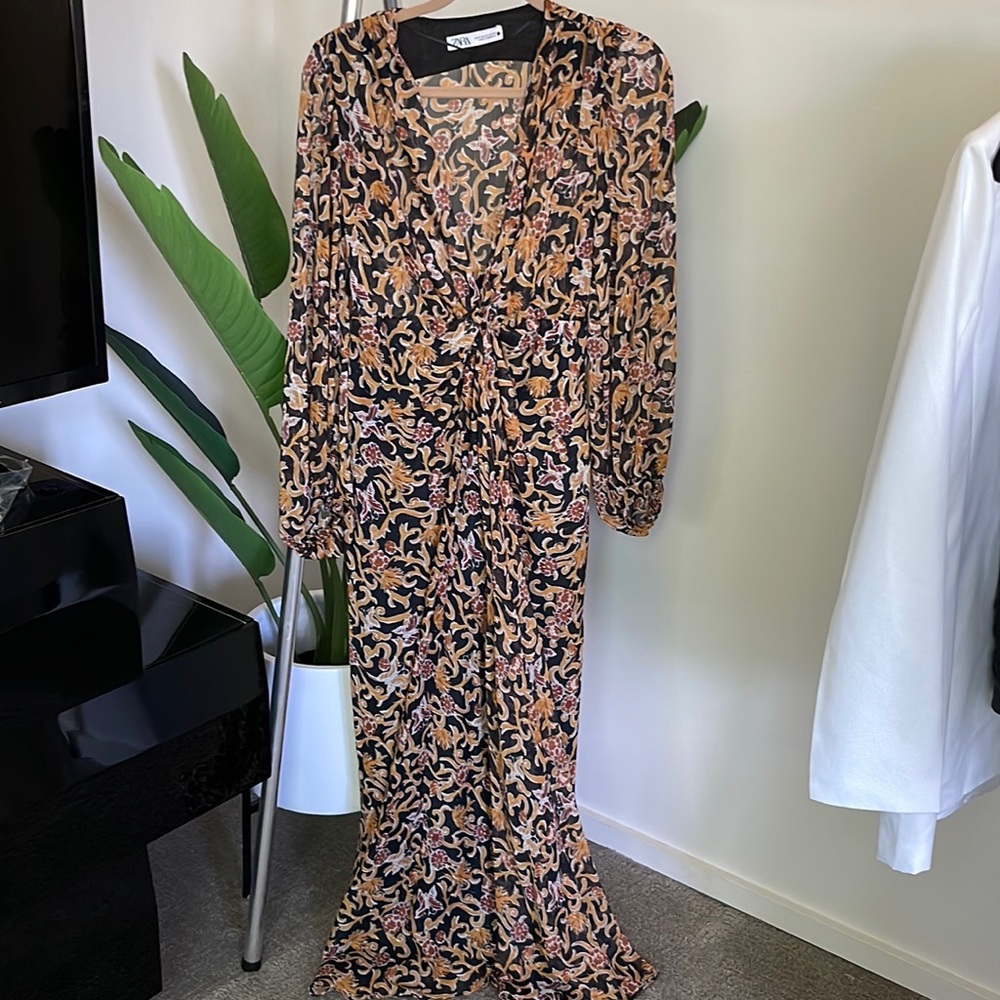 Zara sheer maxi dress
